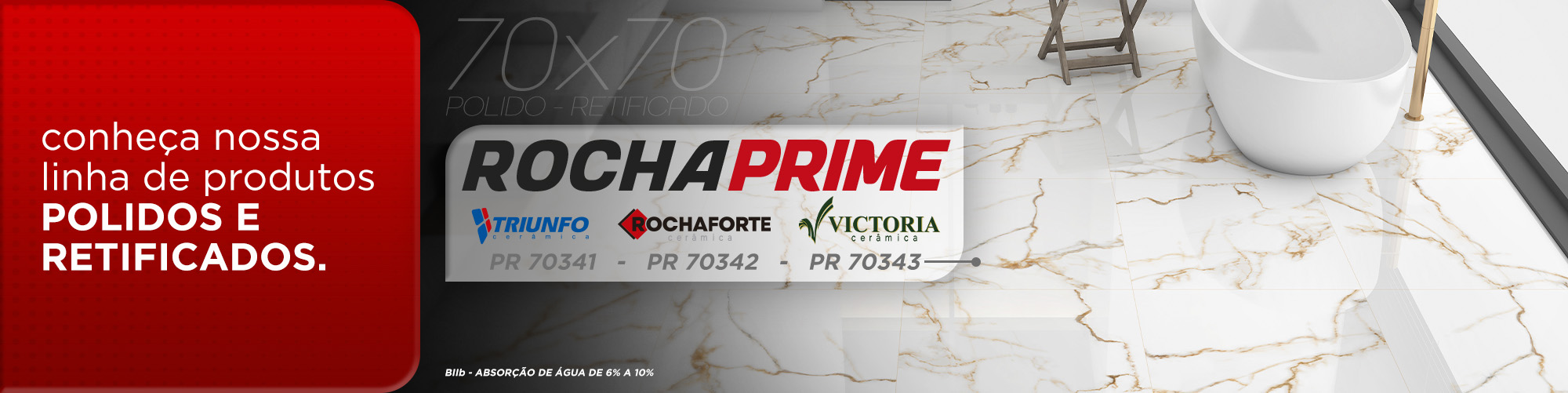 Grupo Rocha